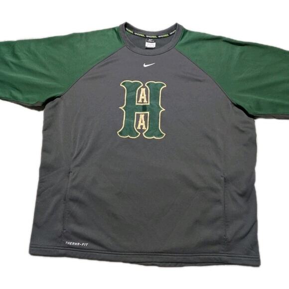 Nike Therma-FIT XXL Baseball Sweatshirt Ann Arbor Huron Green Gray Long Sleeve - Picture 1 of 14